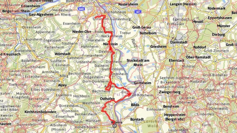 Rheinterrassenwanderung (Planung)