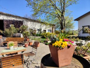 Paulinenhof in Selzen im Frühling