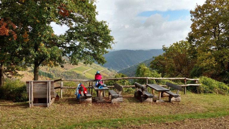 Blick auf Oberwesel und den Rhein (Schwede-Bure-Tour)