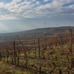 Weinberge und Windräder beim Mommenheim