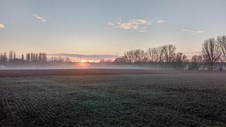 SunriseRun - Sonnenaufgang im Selztal