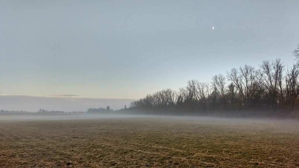 SunriseRun - Monduntergang im Selztal