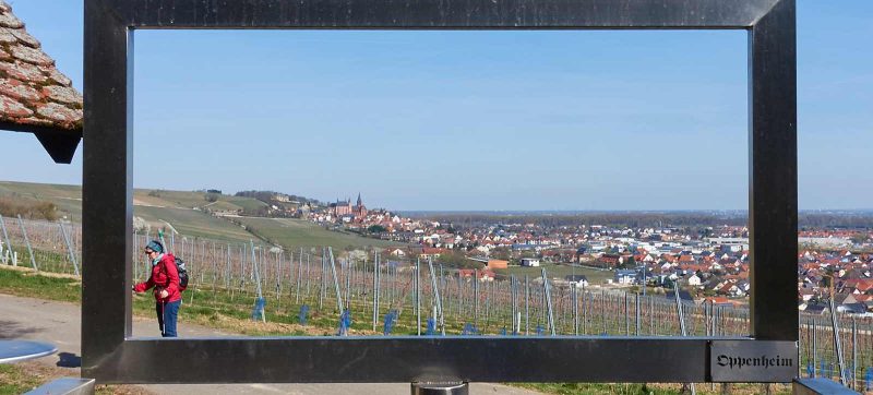 RheinhessenWunderTour: In den Weinbergen über Oppenheim