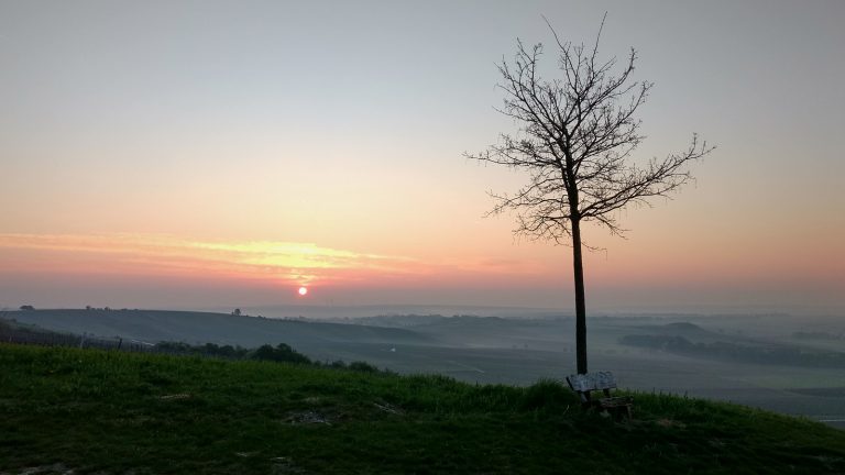 Sonnenaufgang über dem Selztal