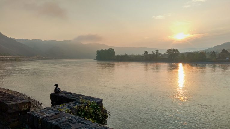 SunriseRun an der Rheinschleife bei Boppard