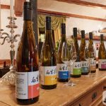 Vinocamp Rheinhessen 2017 in Flörsheim-Dalsheim