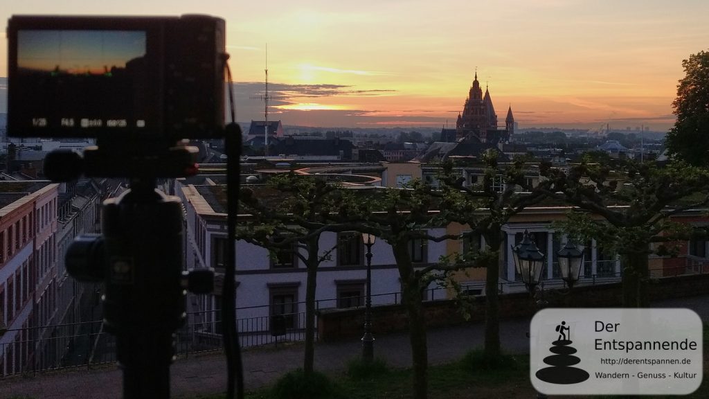 Sonnenaufgang über Mainz und dem Dom