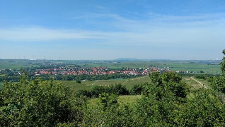 Blick vom Petersberg auf Gau-Odernheim und Donnersberg