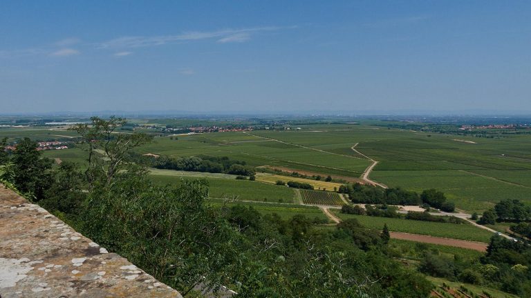 Leininger Burgenweg: Ausblick von Burg Battenberg auf die Rheinebene