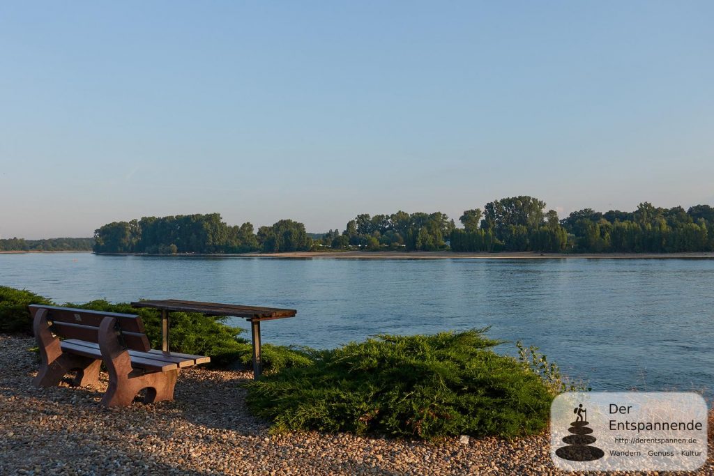 Amasonata auf dem Rhein beim Eicher See
