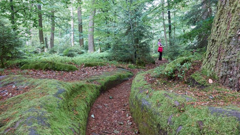 Jardin des Fées bei Niederbronn-les-Bains