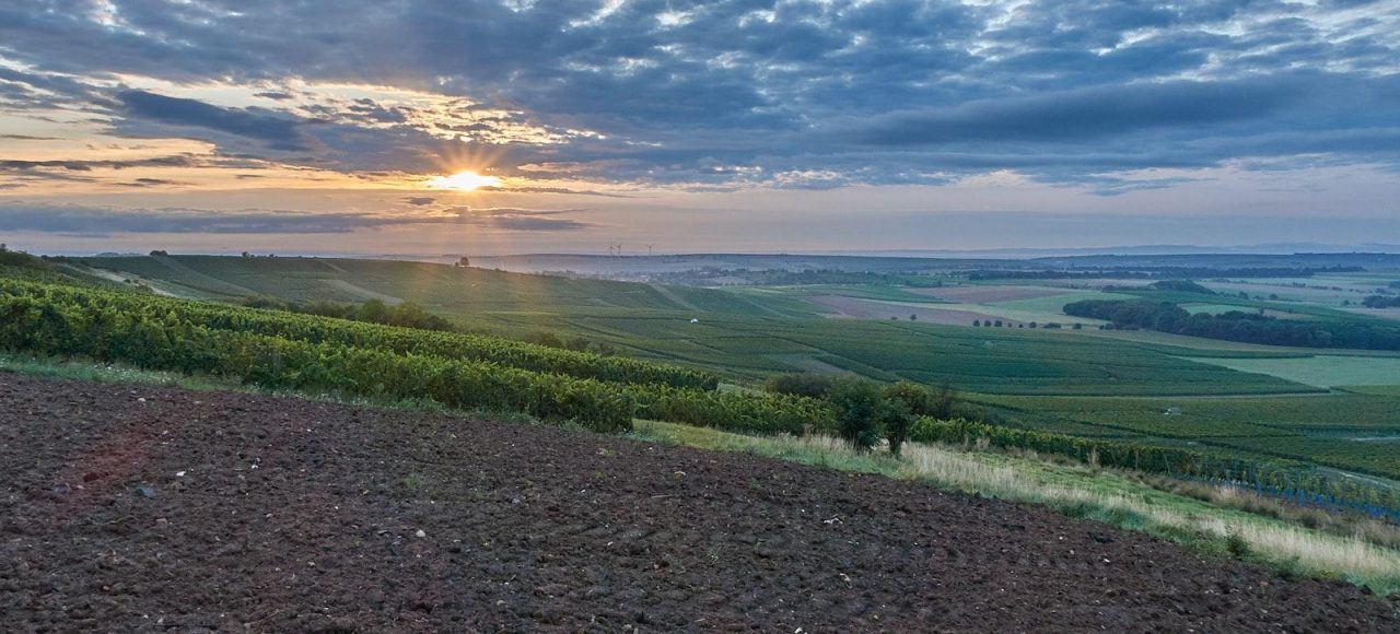 Selzstellung - Sonnenaufgang überm Selztal