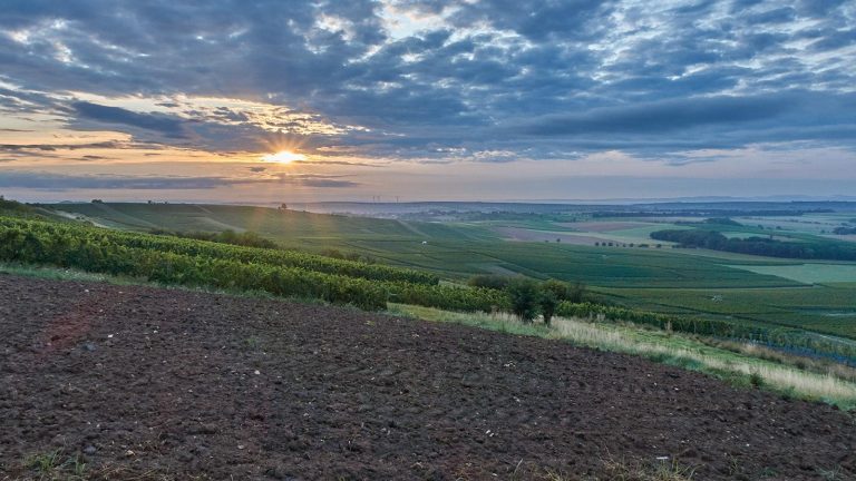 Selzstellung - Sonnenaufgang überm Selztal