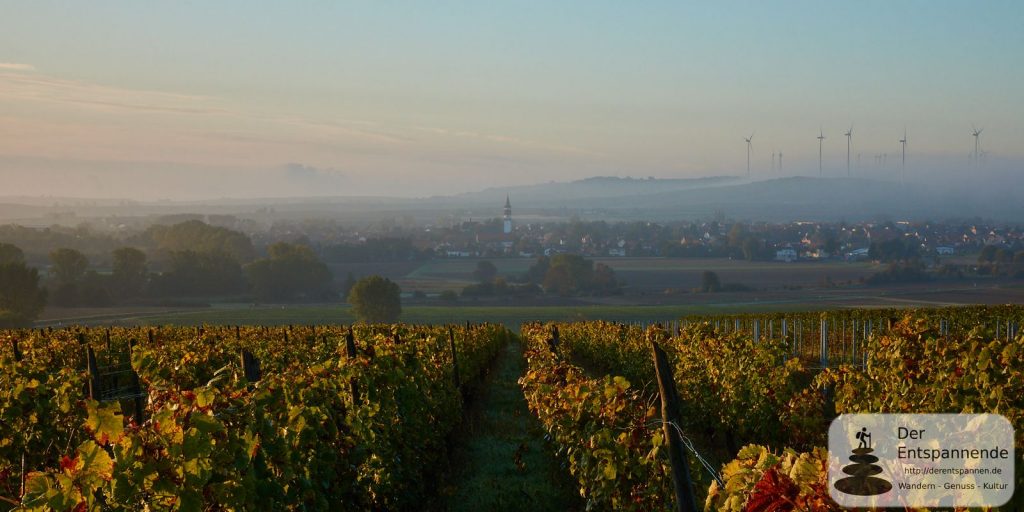 Gau-Odernheim im Selztal und im Nebel