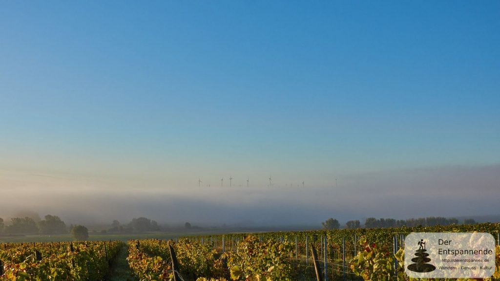 Gau-Odernheim und Selztal im Nebel