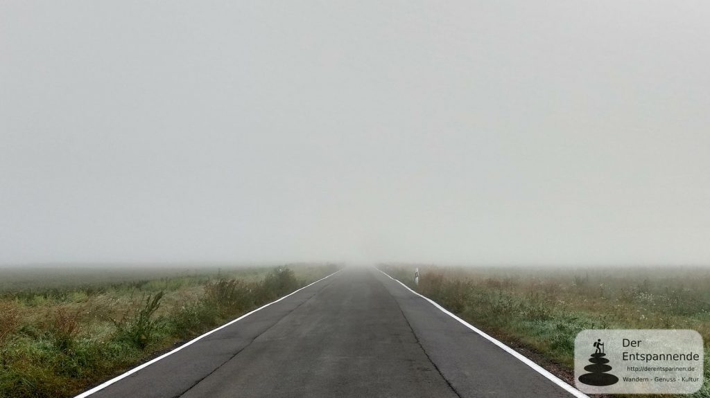 Nebel im Selztal - kurz und irgendwo vor Undenheim