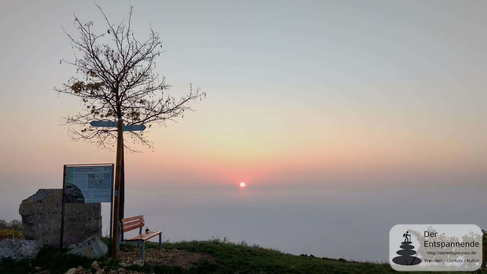 Here comes the Sun - SunriseRun über Selzen und dem Selztal