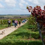 Herbstwanderung des SPD-Ortsvereins Selzen am 1. Oktober 2017