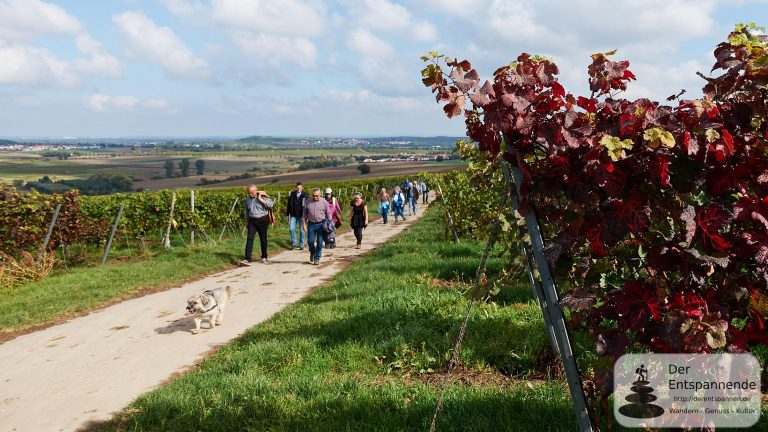 Herbstwanderung des SPD-Ortsvereins Selzen am 1. Oktober 2017