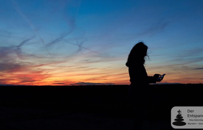 Sonnenuntergang in den Weinbergen über Nierstein