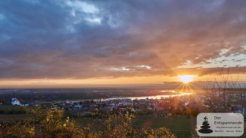 Sonnenaufgang über Nierstein am Rhein
