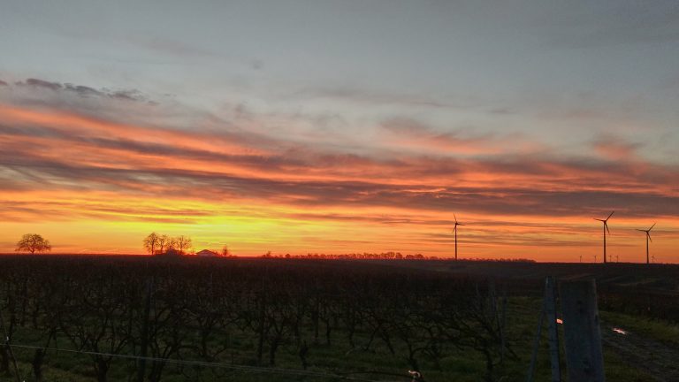 SunriseRun zwischen Selzen und Schwabsburg