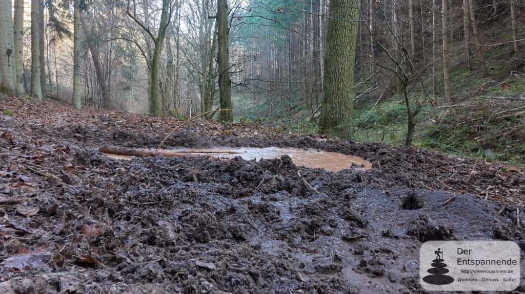 Wildschweinsuhle im Ebernburger Wald