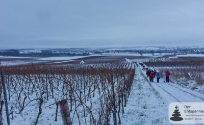 Wandern In Rheinhessen | Der Entspannende