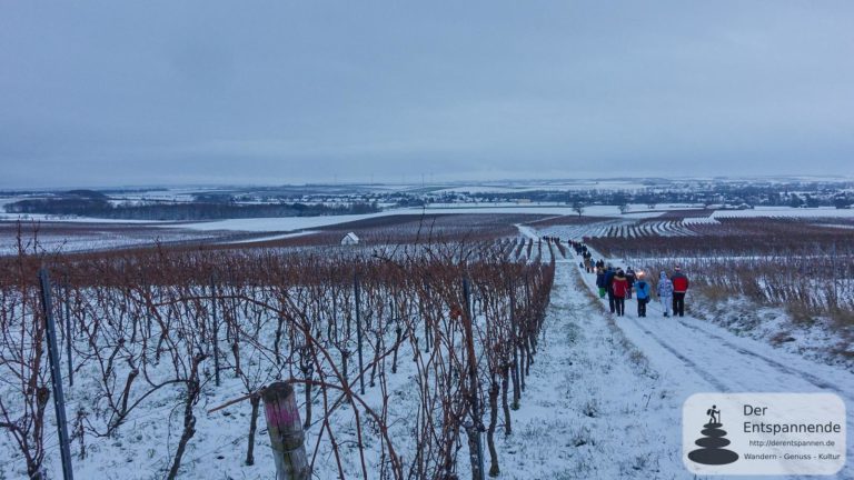 Winterzauber mit dem Wilmshof: Mit Fackeln zurück ins Selztal