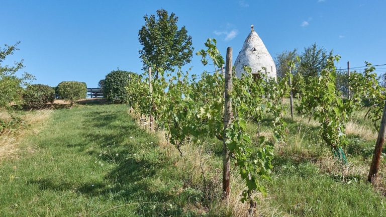 Trullo auf dem Adelberg bei Flonheim