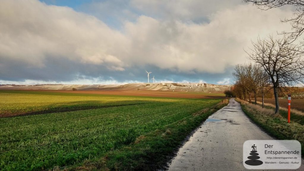 Blick zum Selzer Berg