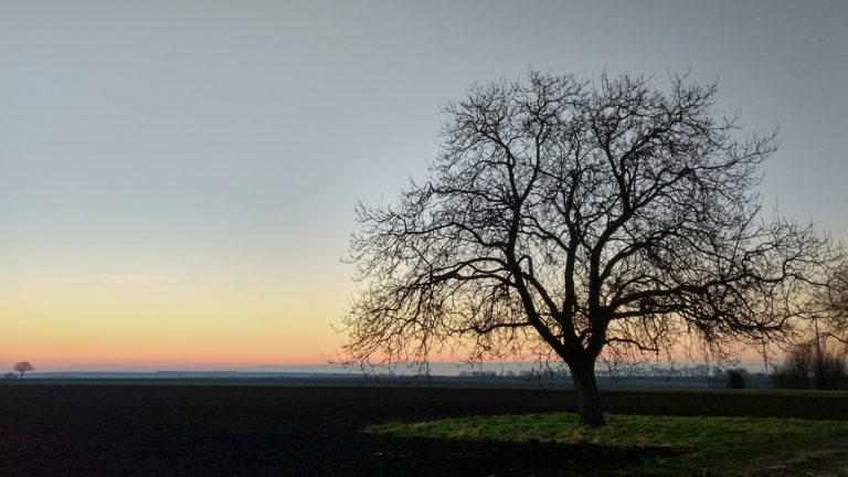 SunriseRun über dem Selztal und Selzen