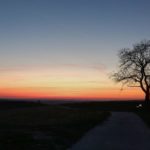 Anwandern Vinocamp Rheinhessen 2018 im Selztal: Morgenrot über der Hiwweltour Zornheimer Berg