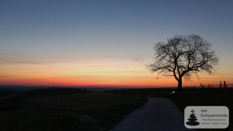 Anwandern Vinocamp Rheinhessen 2018 im Selztal: Morgenrot über der Hiwweltour Zornheimer Berg