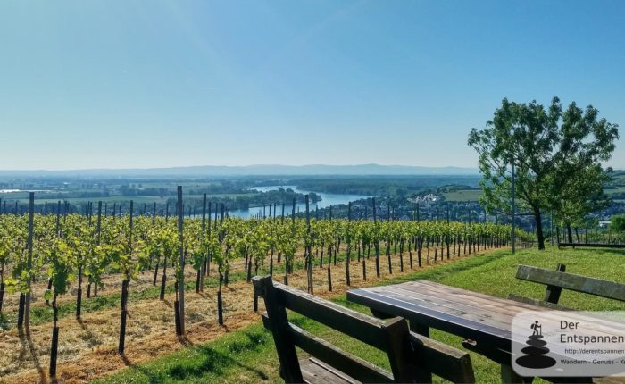 Niersteiner Wartturm - SunriseRun zwischen Selztal und Rheintal bei Nierstein