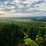 Blick ins Selztal - Hiwwtour Zornheimer Berg