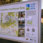 Hiwweltour Zornheimer Berg: Zuweg von Selzen