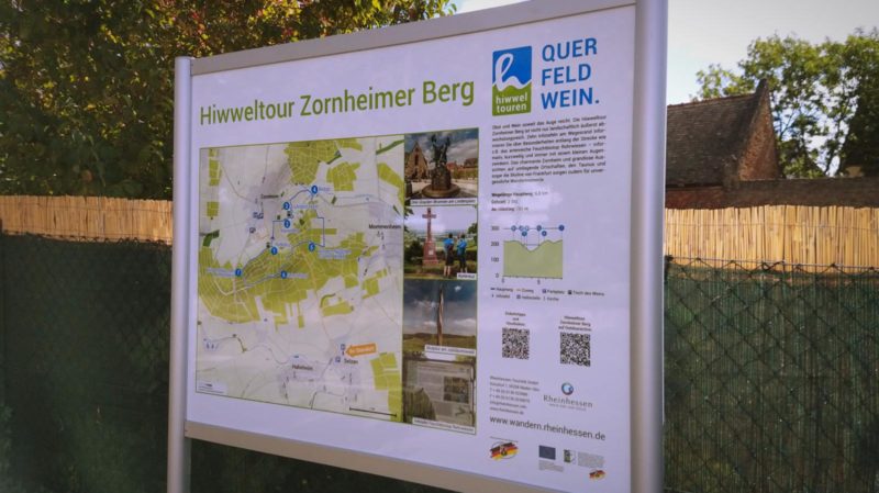 Hiwweltour Zornheimer Berg: Zuweg von Selzen