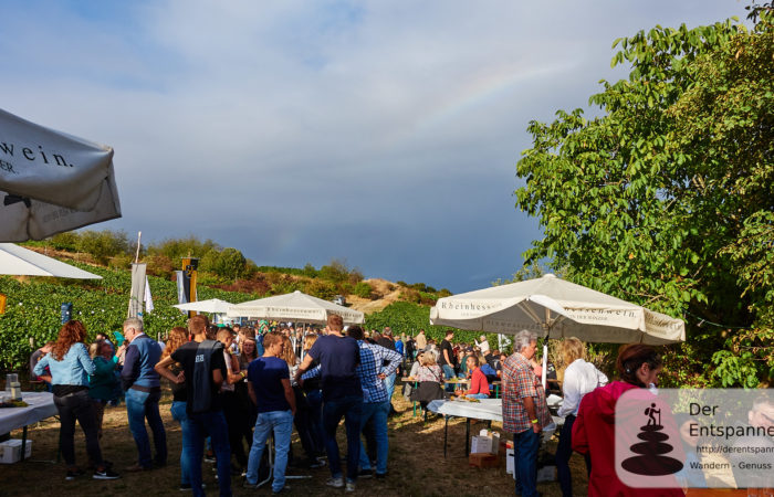 Weinprobe in den Weinbergen (Selzer Kerb 2018)