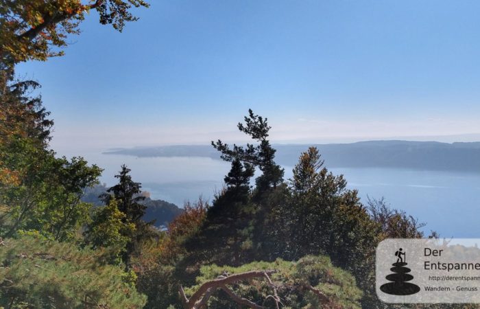 Aussichtspunkt am Haldenhof auf den Bodensee