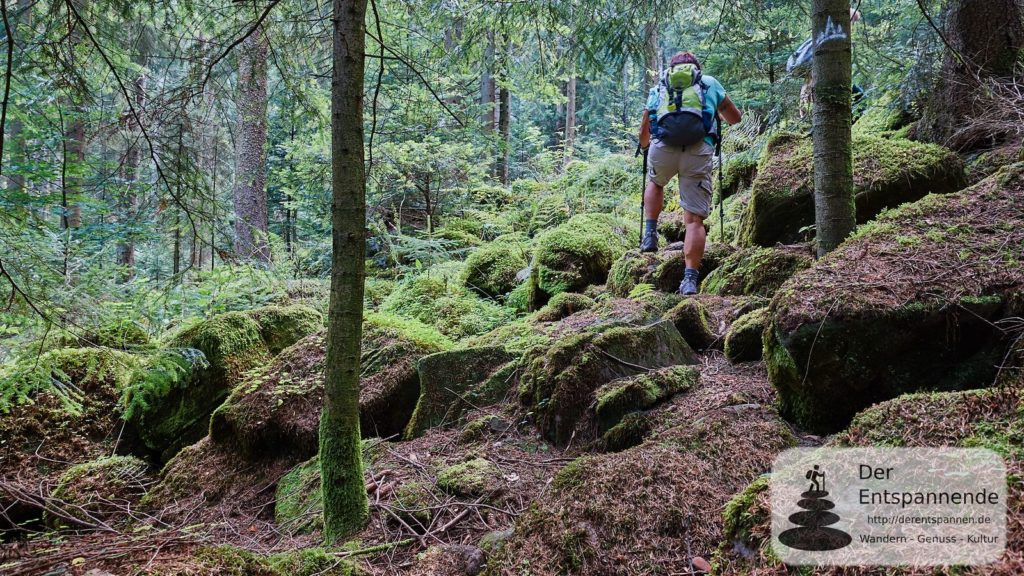 Querfeldein auf dem Albtal.Abenteuer.Track (Bloggerwochenende im Albtal)