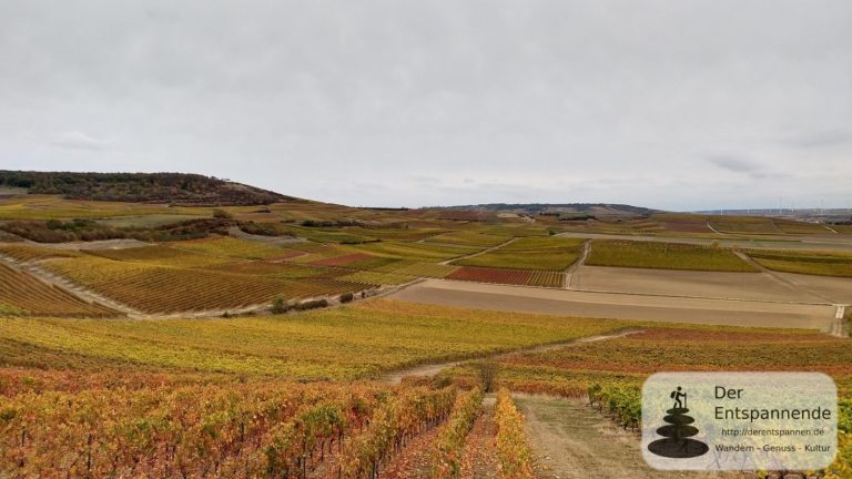 Ausblick vom Place de Josefine (Farbenfrohes Wandern, VG Sprendlingen-Gensingen)