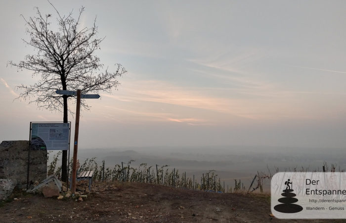 Die Selzstellung über dem Selztal bei Sonnenaufgang