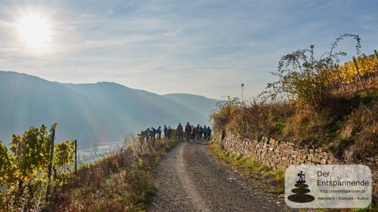 Bloggerwandern Rheinland-Pfalz 2018 an der Mosel