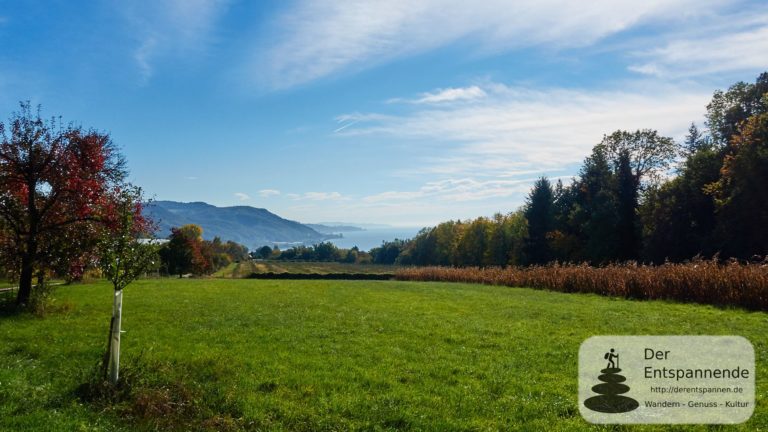 Rundwanderung Ludwigshafen - Stockach: Blick zurück auf den Bodensee, oberhalb von Ludwigshafen