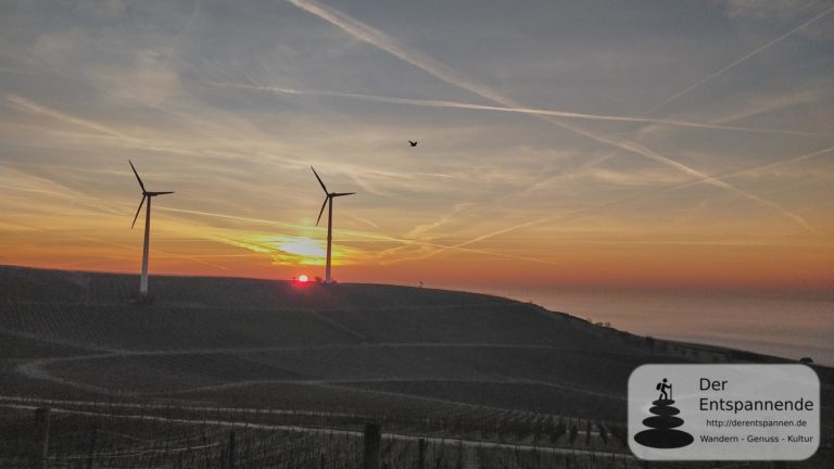 SunriseRun in den Weinbergen über dem Selztal (17.02.2019 bei Selzen)