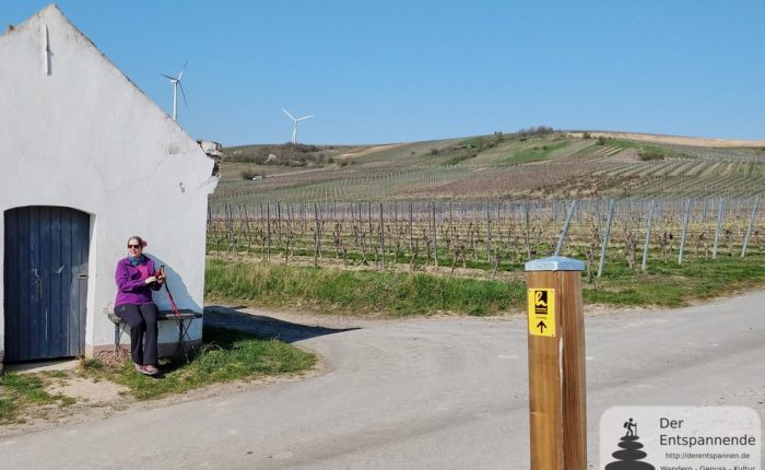 Saisoneröffnung Hiwweltour Zornheimer Berg (31.03.2019)