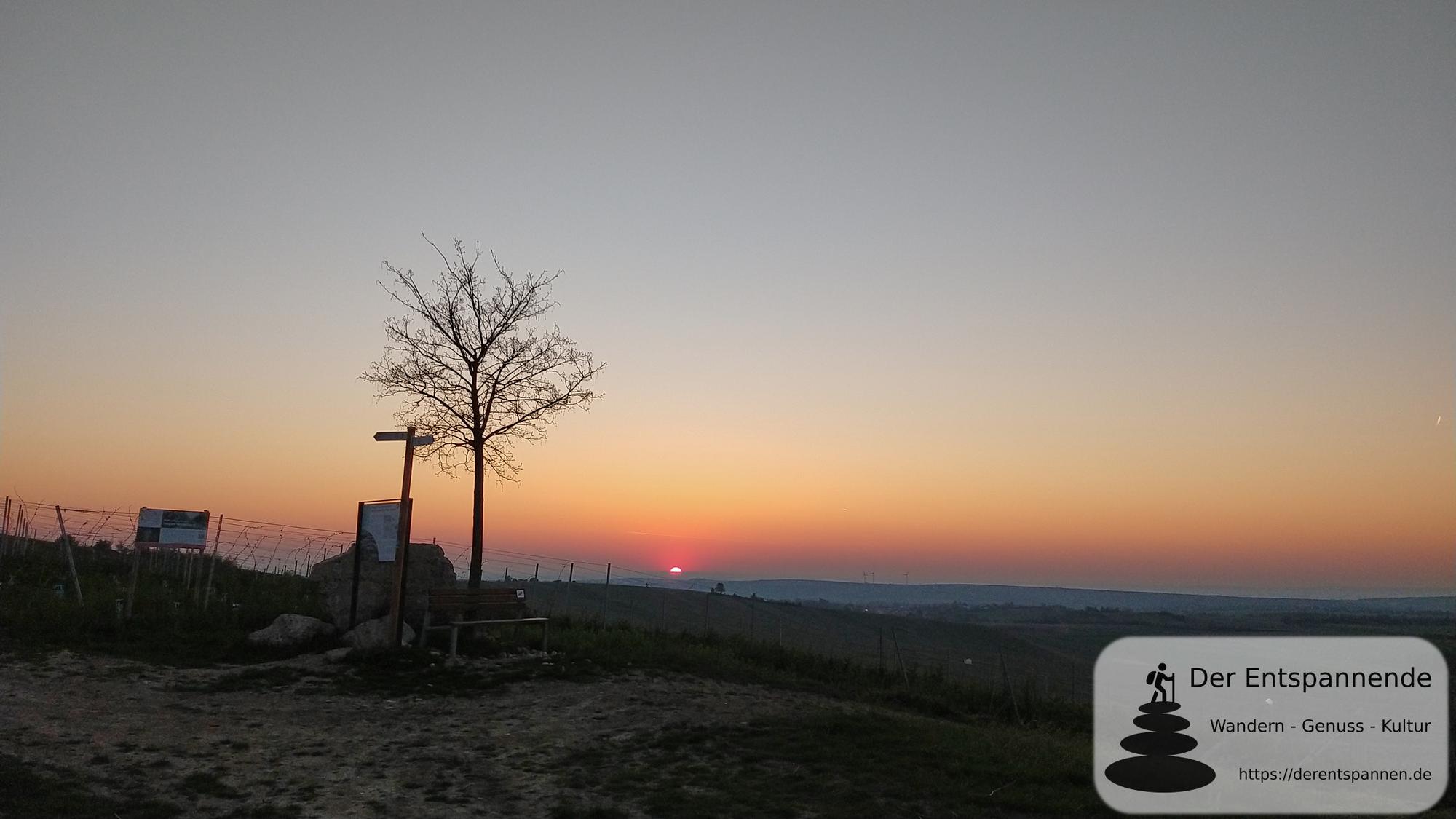 Sonnenaufgang über dem Selztal - SunriseRun am Ostersonntag