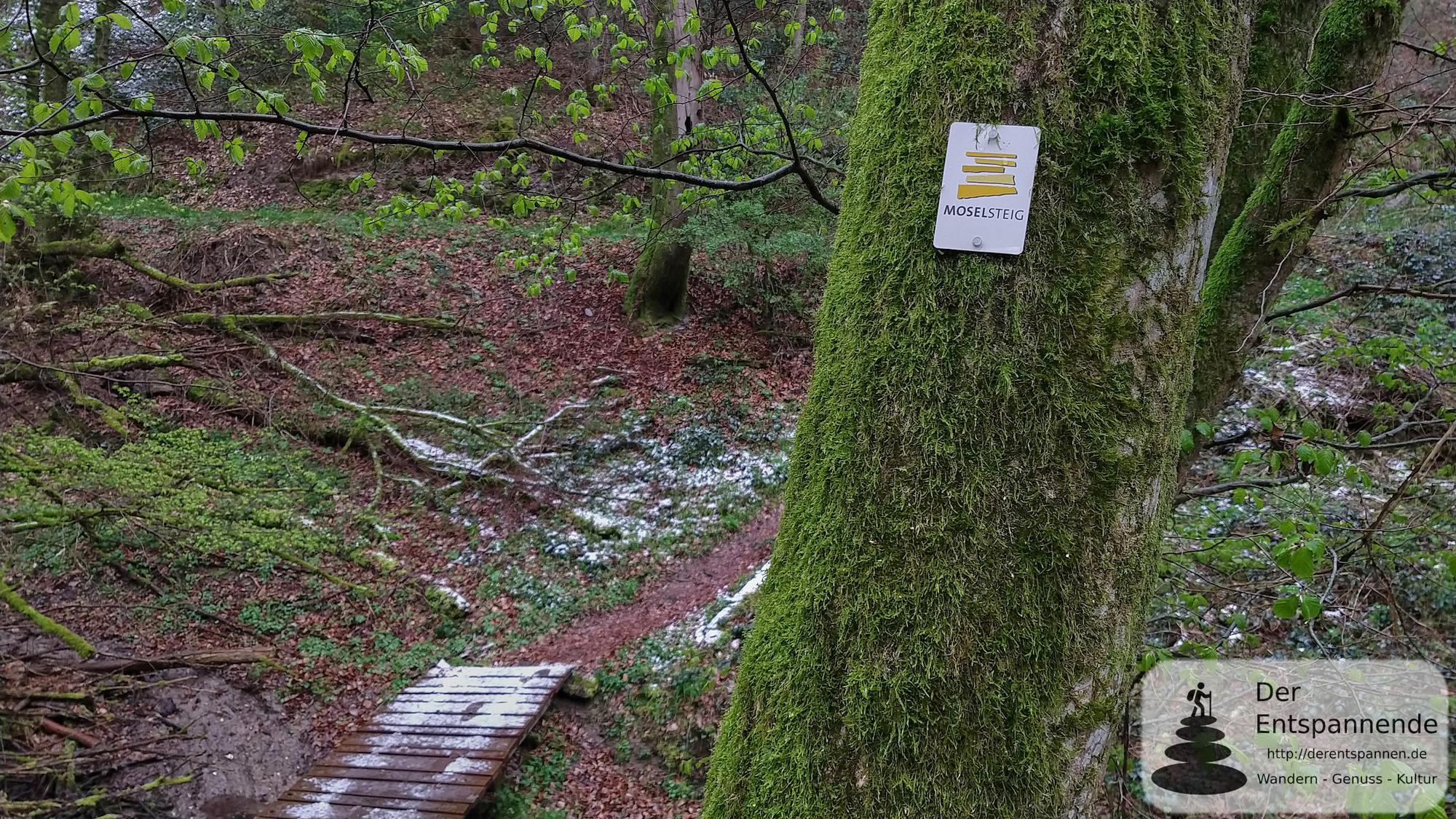 Moselsteig Etappe 19 auf dem Weg nach Kail