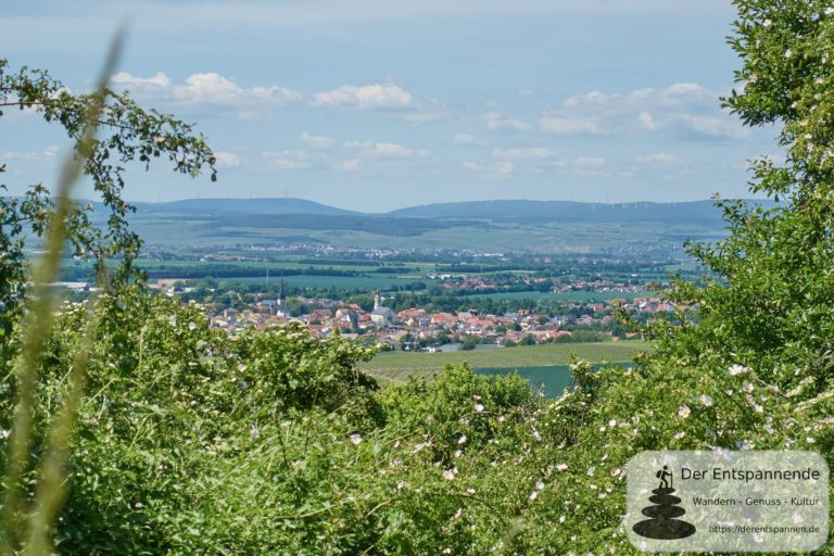 Wissberg: Blick auf Sprendlingen